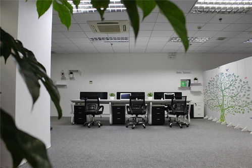 網(wǎng)頁設(shè)計(jì)新篇章 百創(chuàng)互聯(lián)如何以優(yōu)質(zhì)服務(wù)引領(lǐng)網(wǎng)絡(luò)咨詢新趨勢(shì)